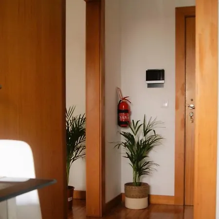 No Centro Do Apartamento Funchal (Madeira)